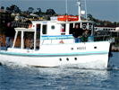 Fish n Trips Port Philip Bay charter tours