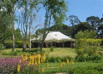 Sage Cottage and garden