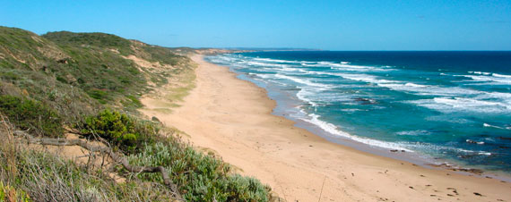 beaches of the mornington peninsula