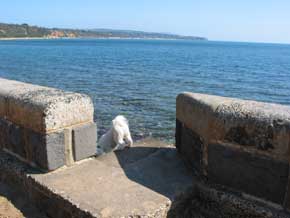 Jak exploring the sea wall