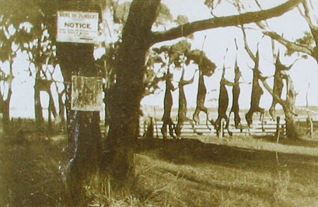 Foxey's Hangout in the late 1930's