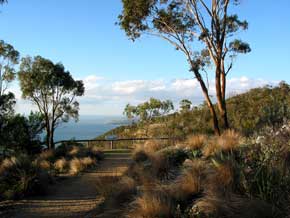 Western Lookout