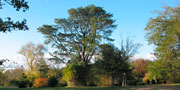 Magnificent Gardens around Mornington Peninsula