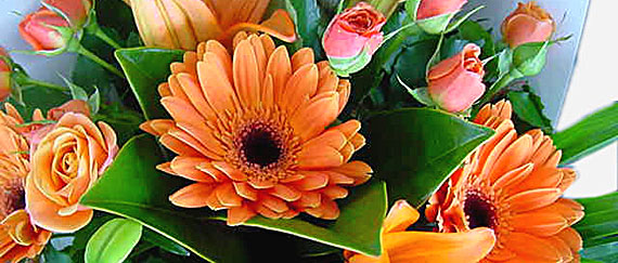 Florist Shops on the Mornington Peninsula