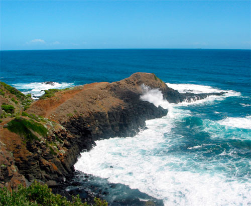 View of Elephant Rock at Flinders Blowhole from the car park lookout