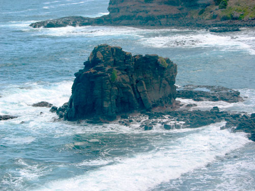 Little Bird Rock at Flinders Blowhole is the home to many water birds