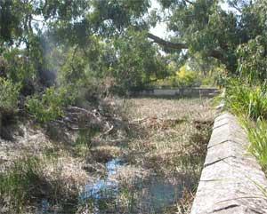 Remains of the old reservoir built in 1889 at the Langwarrin Flora & Fauna Reserve