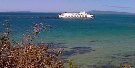 The Queenscliff-Sorrento Car and Passenger Ferry - view from the Millionaires walk Sorrento