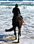 Horse riding on Gunnamatta Beach, Mornington Peninsula