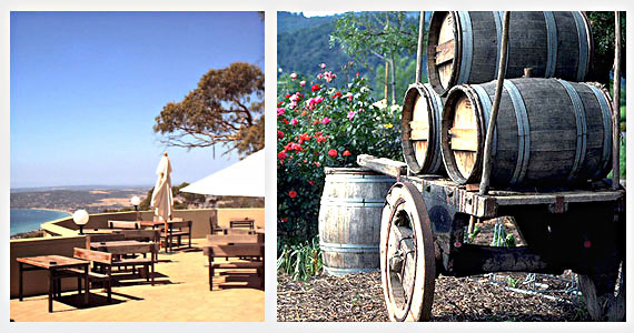 wine barrels and a view from Arthurs hotel and restaurant at Arthurs Seat on the Mornington Peninsula