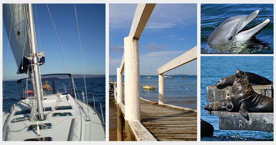 Sailing, Beach activities, Dolphin & Seal Watching and Cruises at Sorrento on the Mornington Peninsula