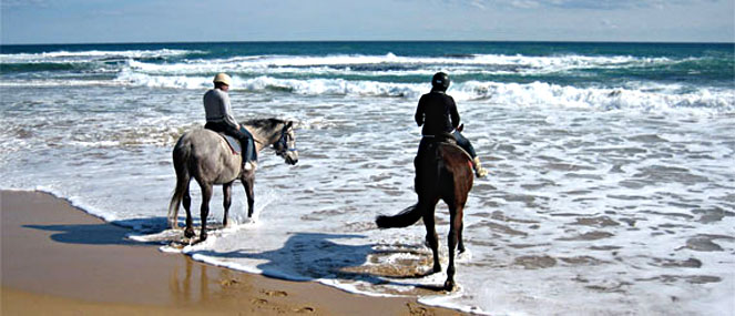 horse riding on the Mornington Peninsula